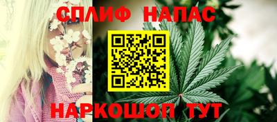 индика Тара